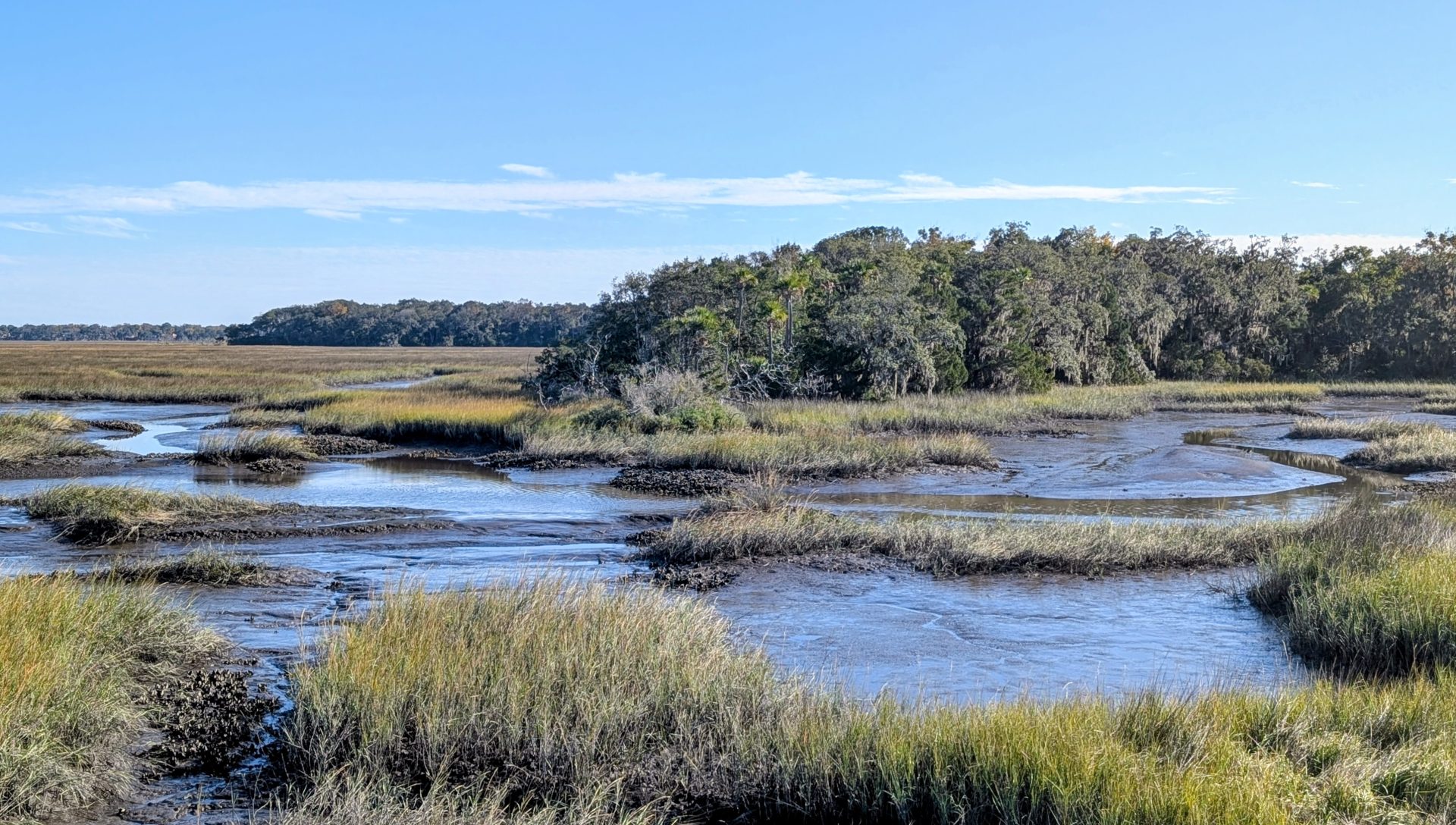 PXL_20251221_193947409~2 Spanish pond
